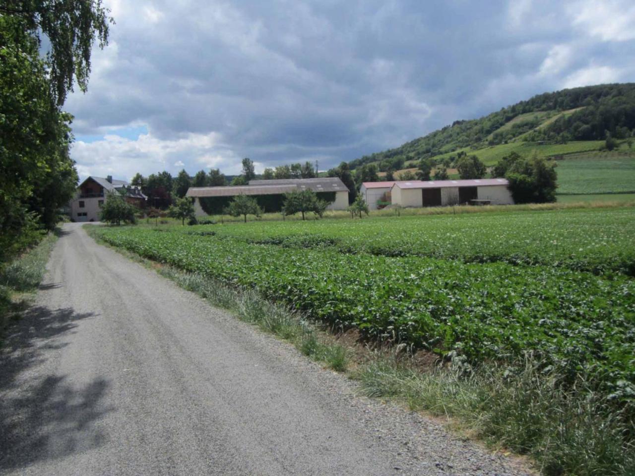 Ferienwohnungen Maintal Karlstadt Eksteriør bilde